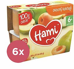 6x HAMI 100 % ovoce ovocný koktejl 4x 100 g - ovocný příkrm