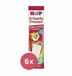6x HiPP BIO Ovocná oplatka Višeň-Jogurt 23 g