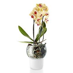 Eva Solo Skleněný samozavlažovací květináč na orchideje Ø 15 cm
